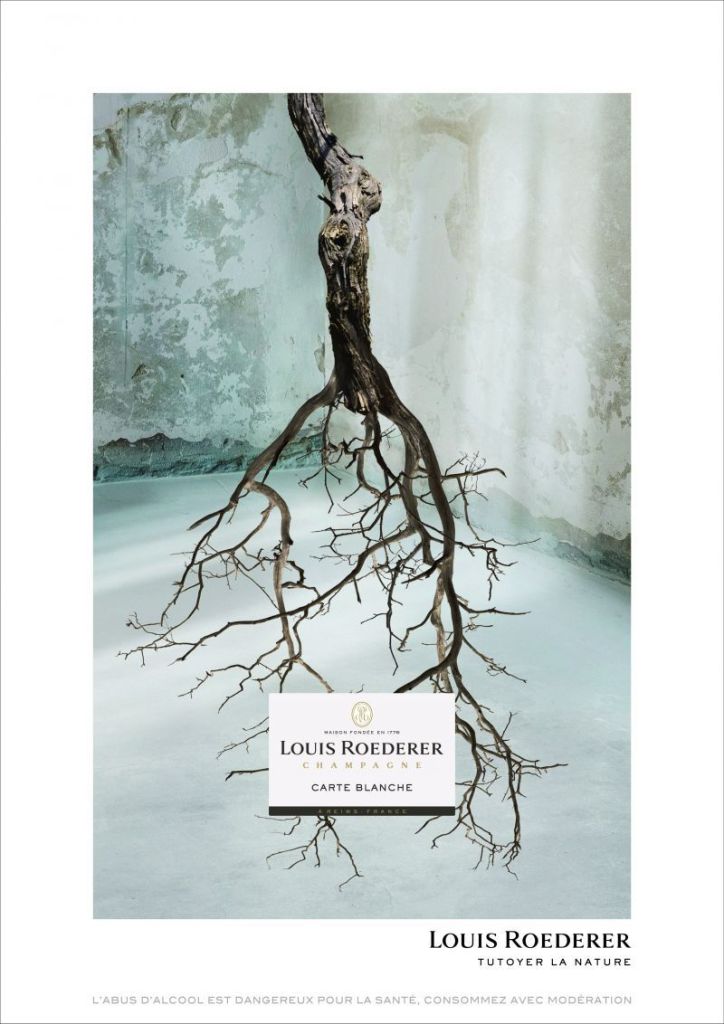 Campagne Roederer - Tutoyer la nature - Branche - Carte blanche
